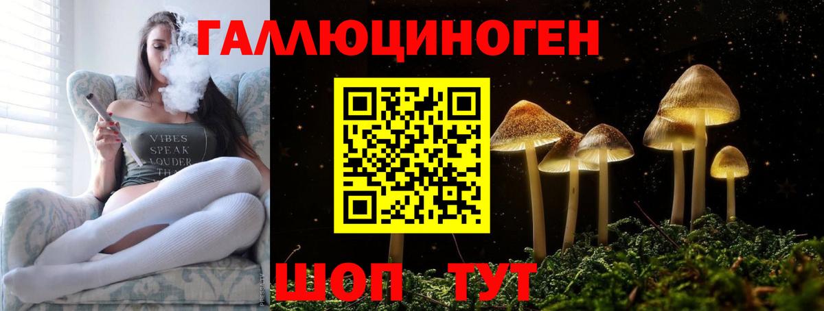 Курчатов  Галлюциногенные грибы Magic Shrooms  купить  цена  Вход с VPN 
